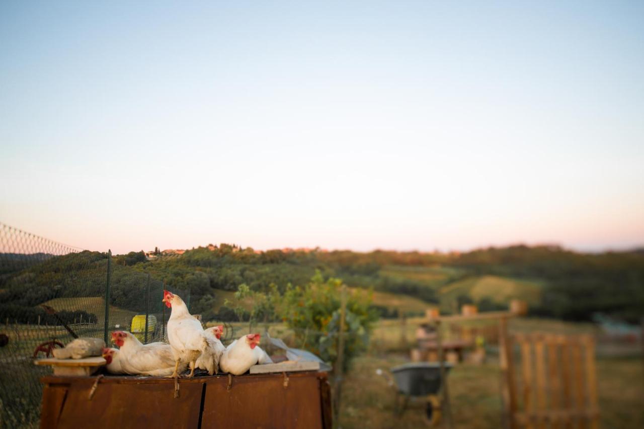 Quercegrossa Agriturismo Le Tre Pietre - Podere Nel Chianti מראה חיצוני תמונה