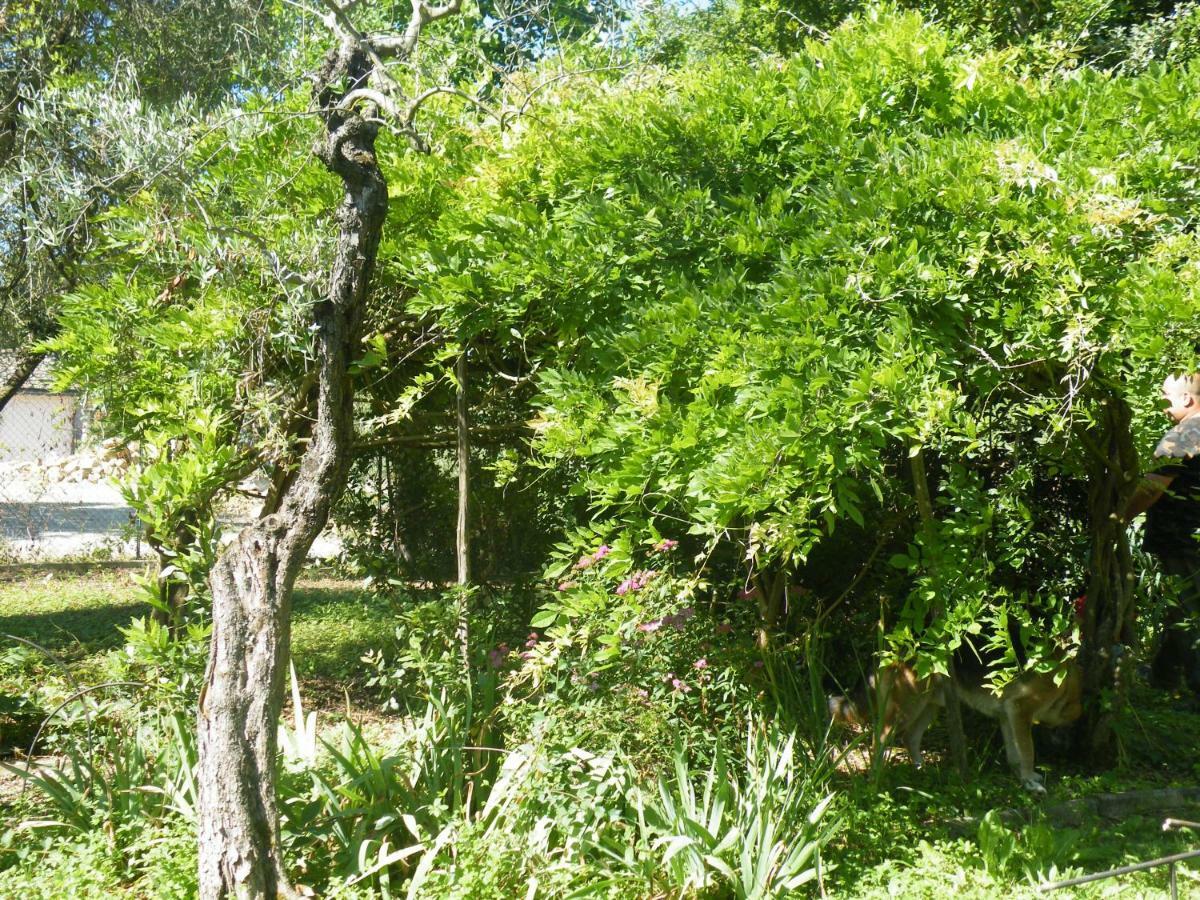 Quercegrossa Agriturismo Le Tre Pietre - Podere Nel Chianti מראה חיצוני תמונה